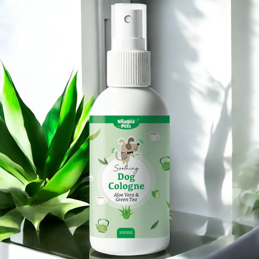 Colonia Aloe vera e the verde 100ml