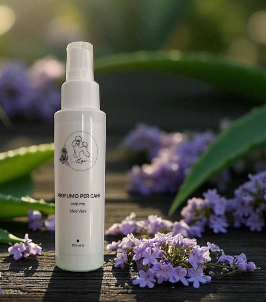 Profumo 100ml